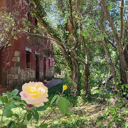 Apartamentos Rurales La Oropendola Хараіс-де-ла-Вера Екстер'єр фото